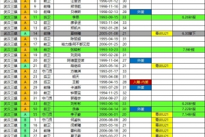 2026中超联赛夏窗后三镇、海牛、铁人、铜梁龙报名名单