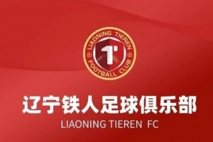 强强对决中，大连英博以策略与创意制胜，辽宁铁人情绪宣泄引发争议