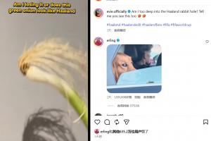爆火！网友以“一根葱”形象cos哈兰德，哈兰德亲自回应，收获超600万点赞