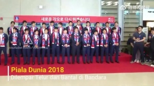 2018年世界杯,韩国历史性地击败德国,回国后却未能避免遭扔鸡蛋的遭遇