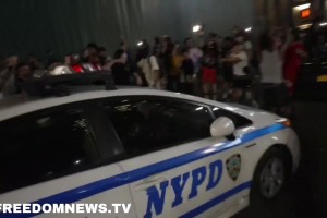 尼克斯球迷彻底陷入疯狂