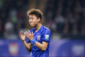 官方申花:金顺凯左侧第8、9肋骨骨折,已进行胸腔闭式引流手术