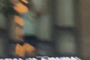刺蜜以为自己酒店二楼房间安全嘚瑟 然后尼克斯球迷爬上来了