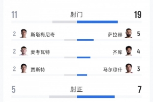 埃及3-1新西兰全场数据:射门数19次对12次,射正数7次对5次,得分机会5次对3次