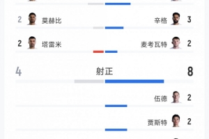 伊朗2-2新西兰全场数据:射门比17-14,射正比4-8,得分机会比3-2