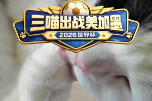 比章鱼保罗还准？詹俊老师的猫咪小笼包在线预测，三喵出战！