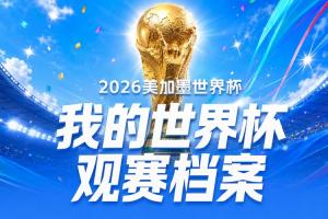 「世界杯观赛纪事」世界杯落幕，那些不眠之夜尽在记录